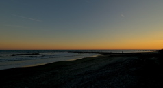 Thanksgiving - Bocce Sunset